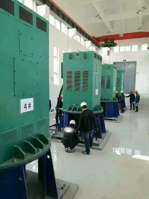 YR5003-10某污水处理厂使用我厂的立式高压电机安装现场