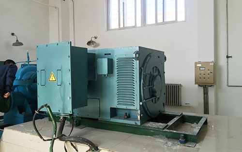 YR5003-10某水电站工程主水泵使用我公司高压电机