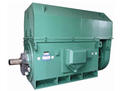 YR5003-10YKK系列高压电机