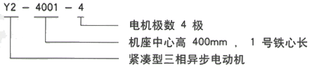 YR系列(H355-1000)高压YR5003-10三相异步电机西安西玛电机型号说明